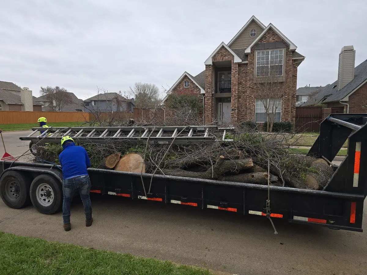 Expert Tree Fertilization with proper safety equipment in Bridge City